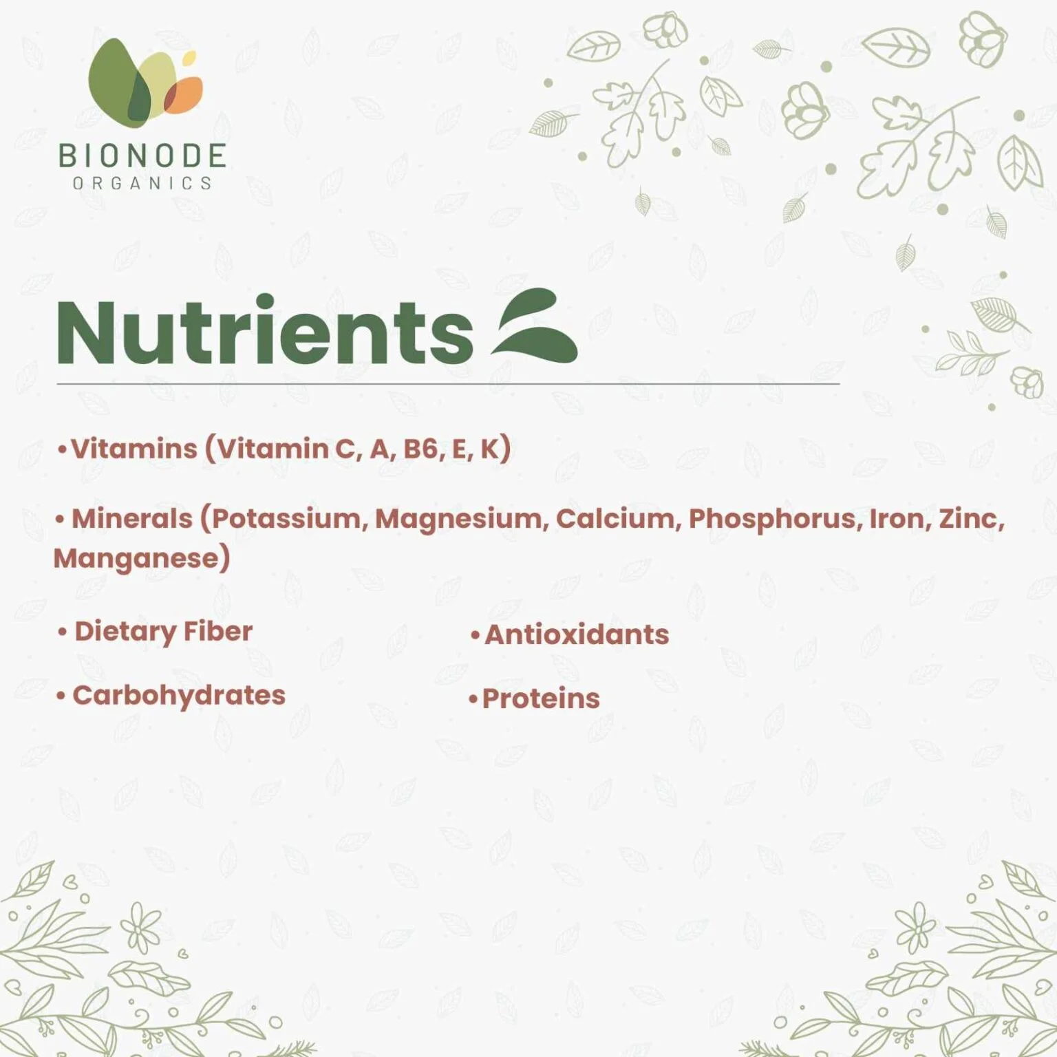 Jackfruit Powder – 100g - Image 3